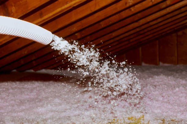 Best Spray Foam Insulation in Mesquite, TX