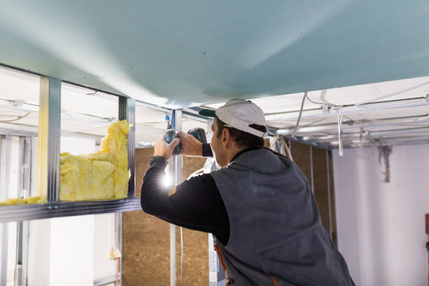 Best DIY Insulation Kits and Guidance in Mesquite, TX