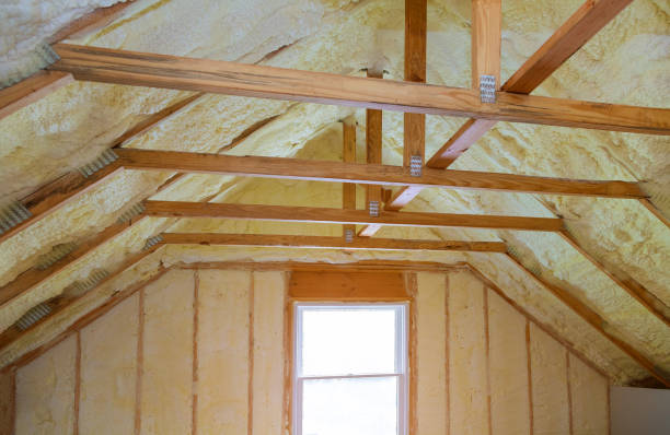 Best Eco-Friendly Insulation in Mesquite, TX