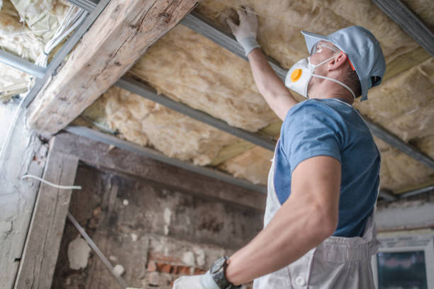 Best Blown-in Insulation in Mesquite, TX