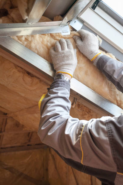 Best Insulation Maintenance and Repair in Mesquite, TX