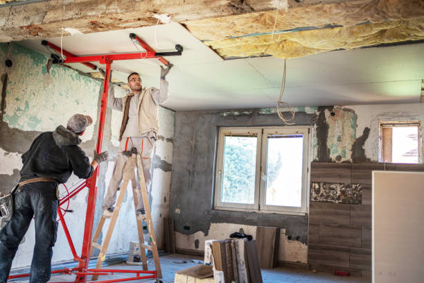 Best Commercial Insulation in Mesquite, TX