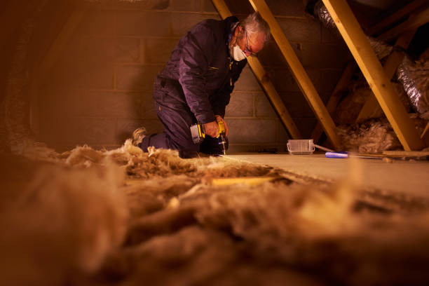 Best Specialized Insulation Services in Mesquite, TX