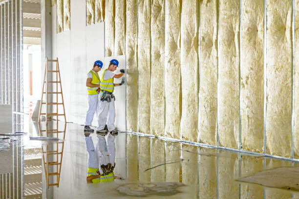 Best Cellulose Insulation in Mesquite, TX